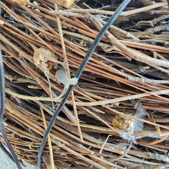 Tenser Handmade Rustic Twig & Wicker Basket With Wooden Supports - Picture 8 of 9